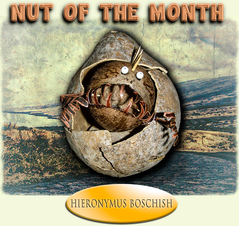 Nut Of The Month for August 2013