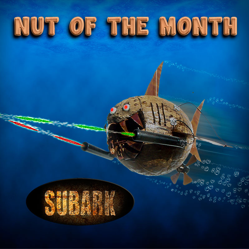 Nut Of The Month for November 2013